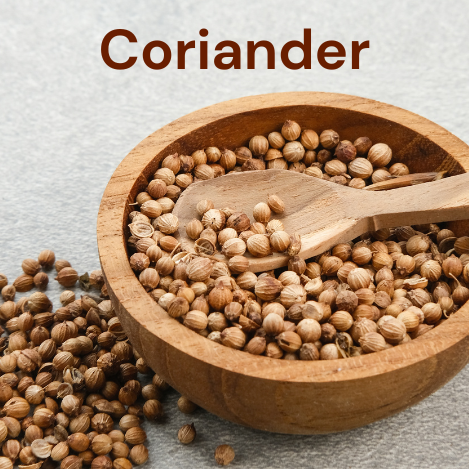 Coriander