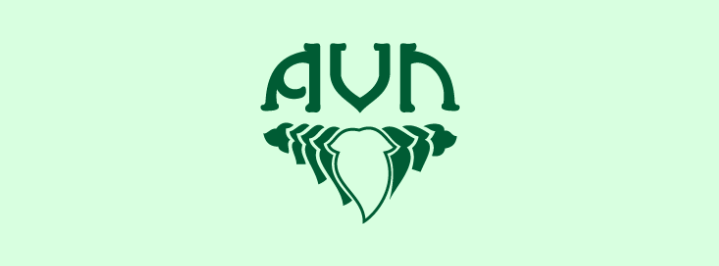 AVN AYURVEDA FORMULATIONS PVT LTD