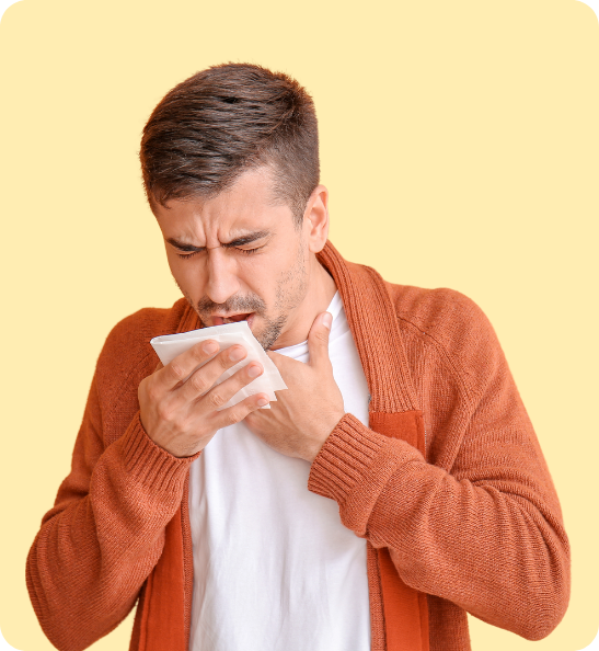 shop ayurvedic medicine - common conditions