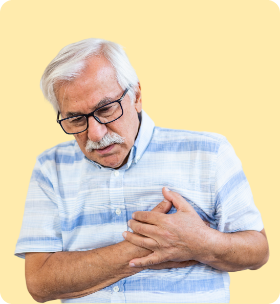 Heart Health - ayurveda medicine online